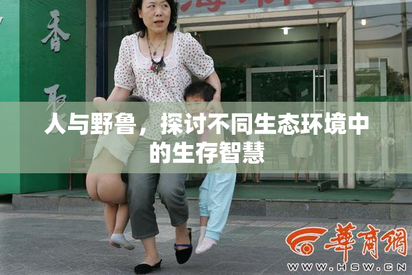 人与野鲁，探讨不同生态环境中的生存智慧