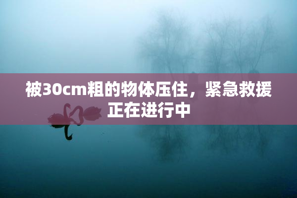 被30cm粗的物体压住，紧急救援正在进行中