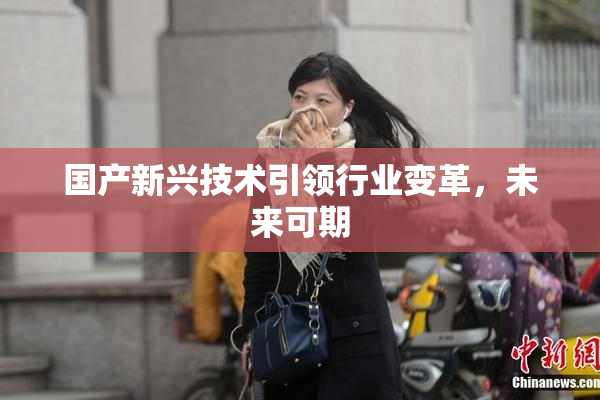 国产新兴技术引领行业变革，未来可期