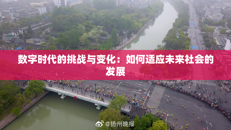 数字时代的挑战与变化：如何适应未来社会的发展