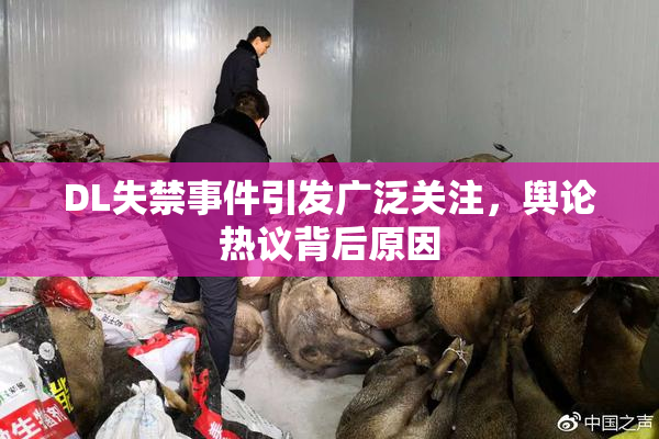 DL失禁事件引发广泛关注，舆论热议背后原因
