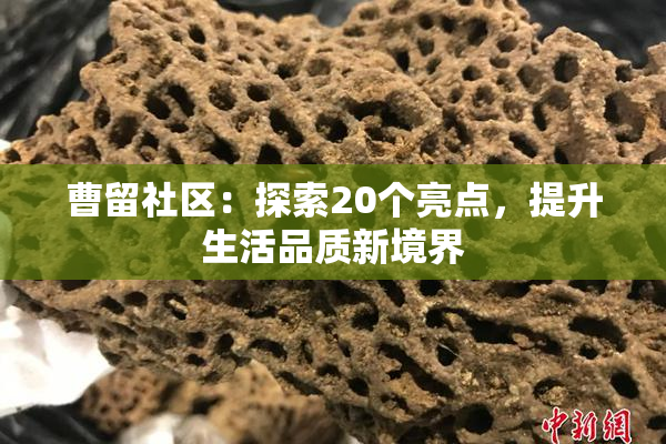 曹留社区：探索20个亮点，提升生活品质新境界