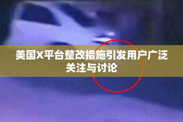 美国X平台整改措施引发用户广泛关注与讨论