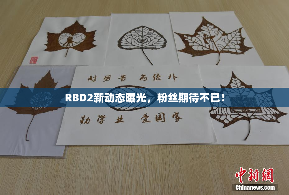 RBD2新动态曝光，粉丝期待不已！