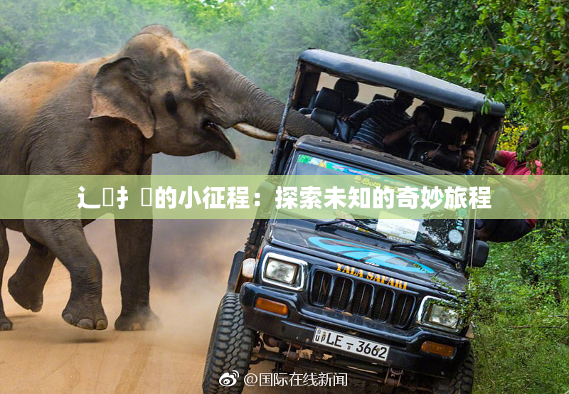 辶喿扌畐的小征程：探索未知的奇妙旅程