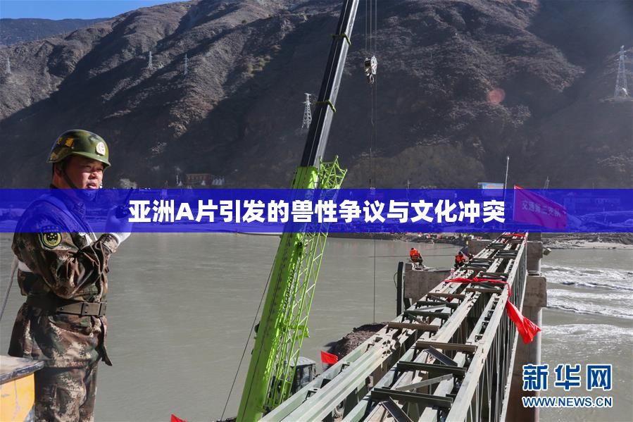 亚洲A片引发的兽性争议与文化冲突