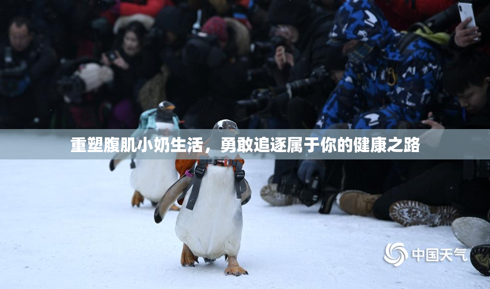 重塑腹肌小奶生活，勇敢追逐属于你的健康之路