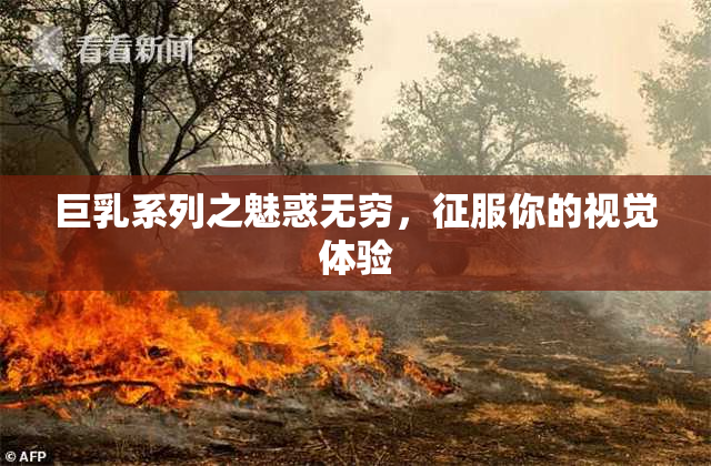 巨乳系列之魅惑无穷，征服你的视觉体验