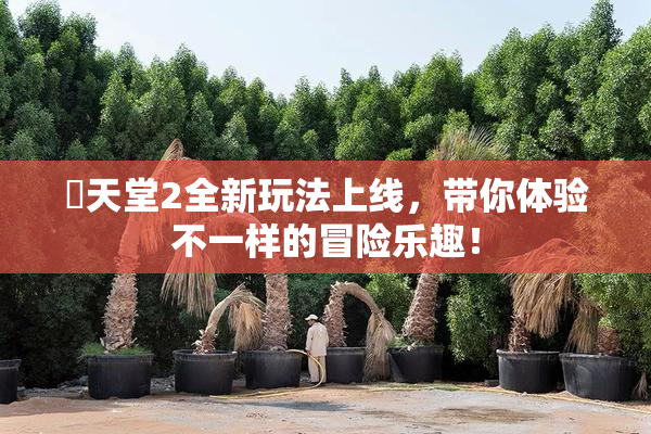 妺天堂2全新玩法上线，带你体验不一样的冒险乐趣！