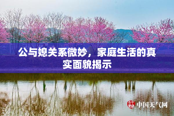公与媳关系微妙，家庭生活的真实面貌揭示