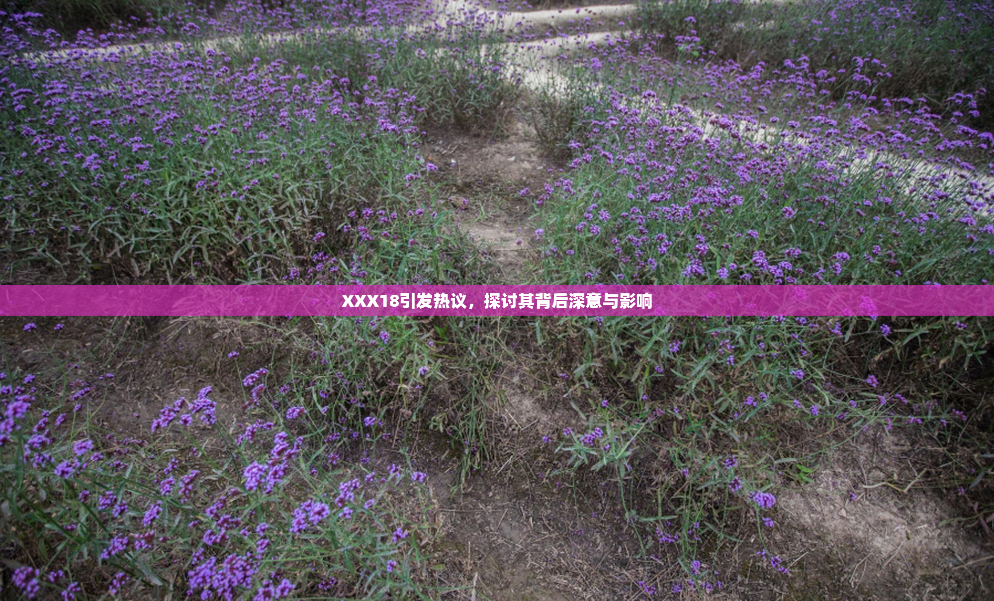 XXX18引发热议，探讨其背后深意与影响
