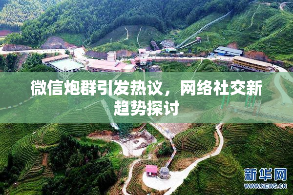 微信炮群引发热议，网络社交新趋势探讨