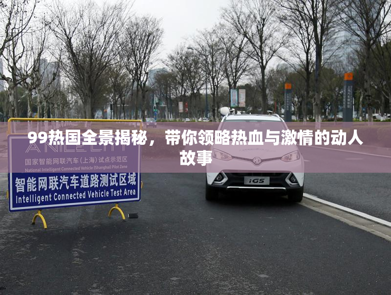 99热国全景揭秘，带你领略热血与激情的动人故事