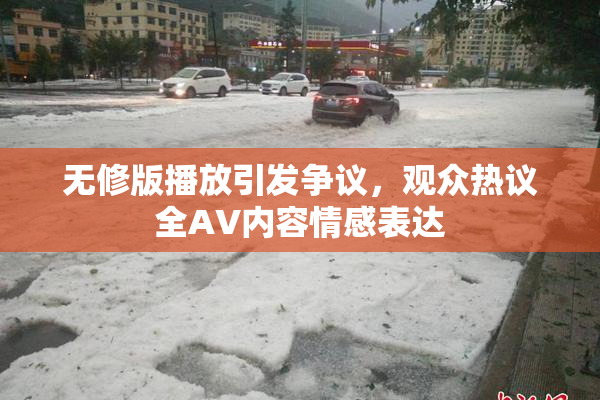 无修版播放引发争议，观众热议全AV内容情感表达