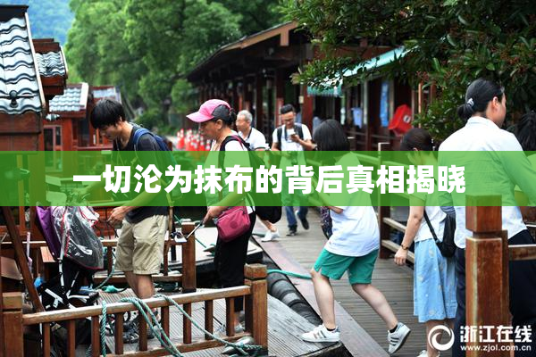 一切沦为抹布的背后真相揭晓