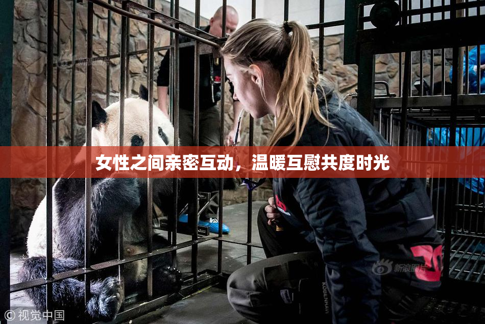 女性之间亲密互动，温暖互慰共度时光