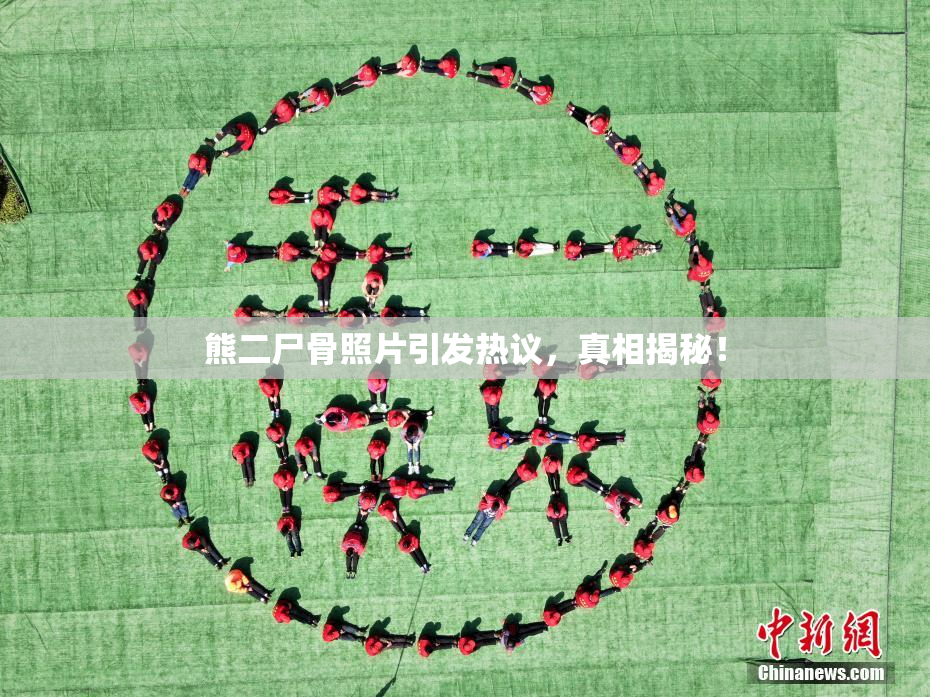熊二尸骨照片引发热议，真相揭秘！