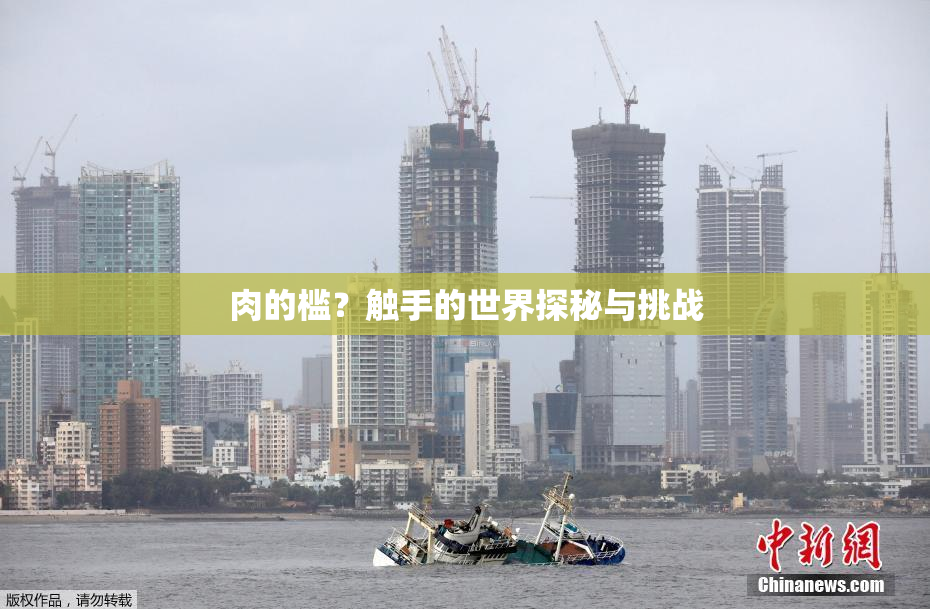 肉的槛？触手的世界探秘与挑战