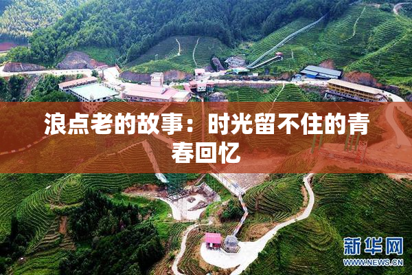 浪点老的故事：时光留不住的青春回忆