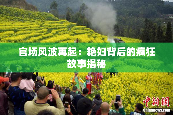 官场风波再起：艳妇背后的疯狂故事揭秘