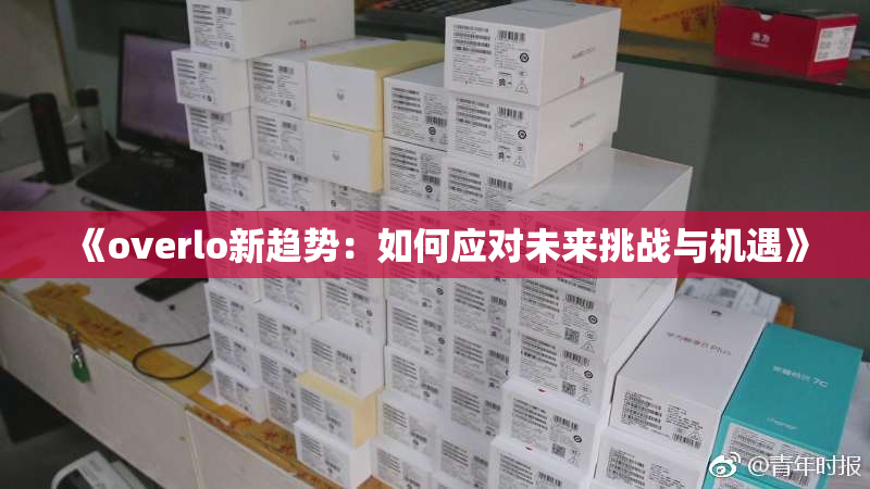 《overlo新趋势：如何应对未来挑战与机遇》