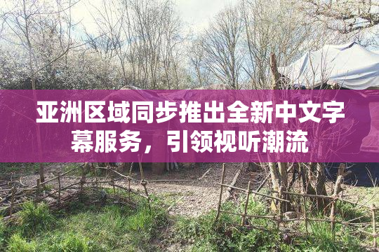 亚洲区域同步推出全新中文字幕服务，引领视听潮流