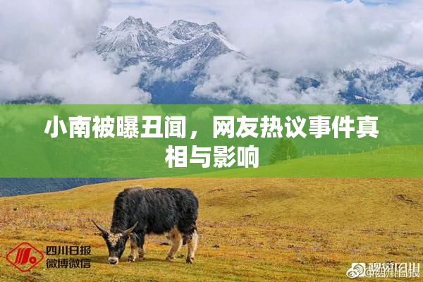 小南被曝丑闻，网友热议事件真相与影响