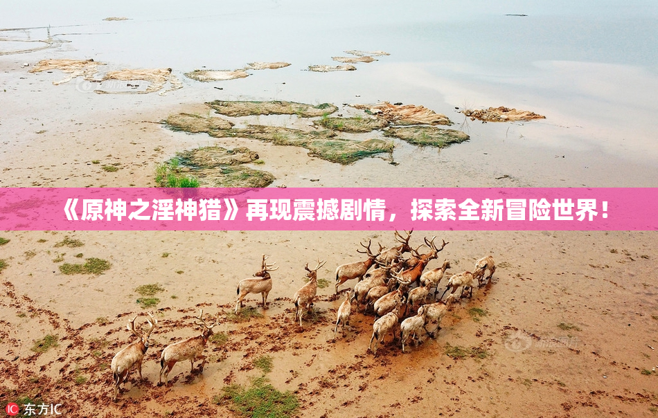 《原神之淫神猎》再现震撼剧情，探索全新冒险世界！
