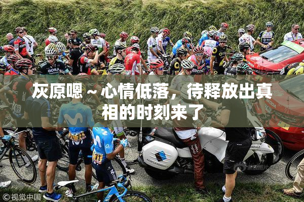 灰原嗯～心情低落，待释放出真相的时刻来了
