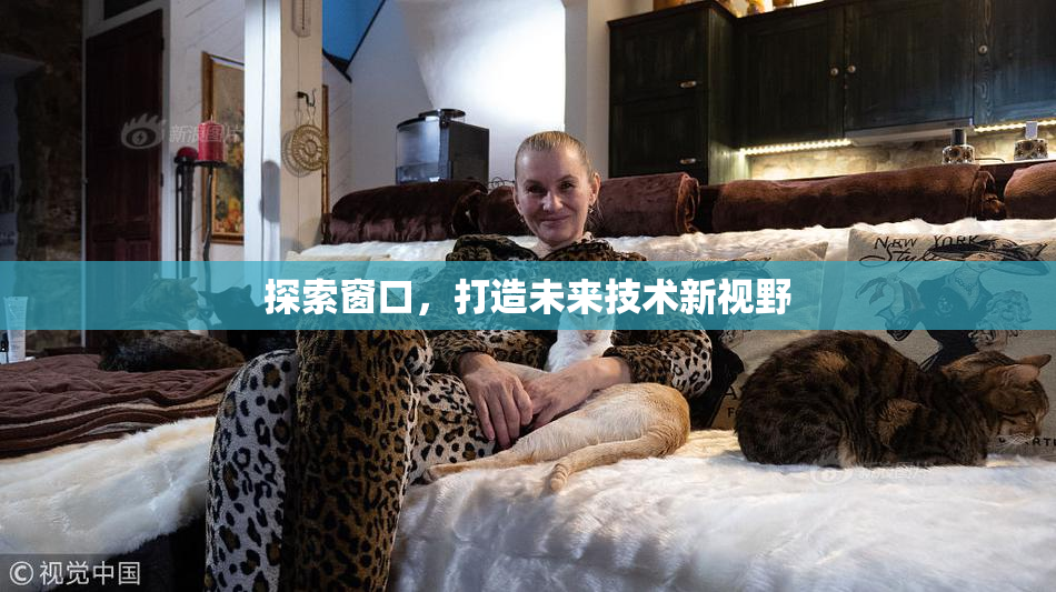 探索窗口，打造未来技术新视野