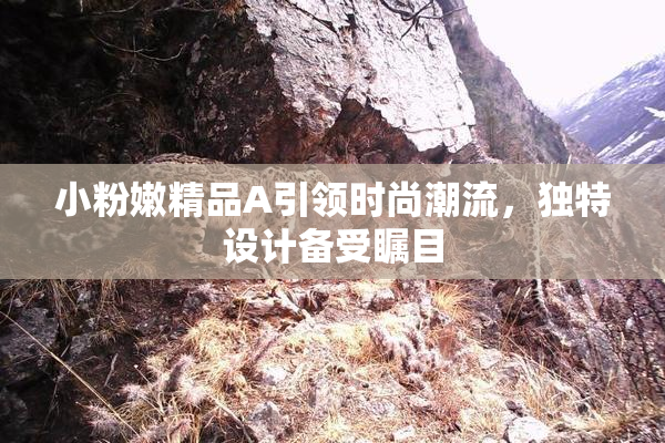 小粉嫩精品A引领时尚潮流，独特设计备受瞩目