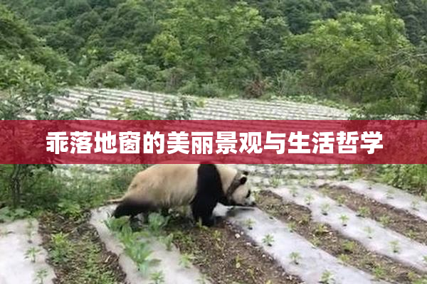 乖落地窗的美丽景观与生活哲学