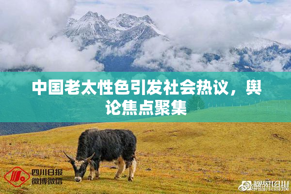 中国老太性色引发社会热议，舆论焦点聚集