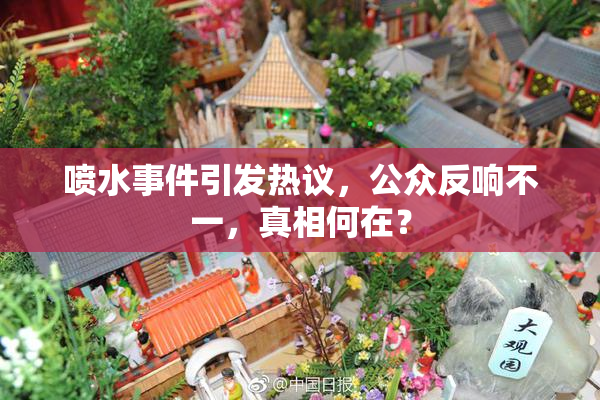 喷水事件引发热议，公众反响不一，真相何在？
