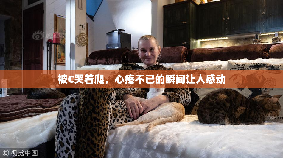被C哭着爬，心疼不已的瞬间让人感动