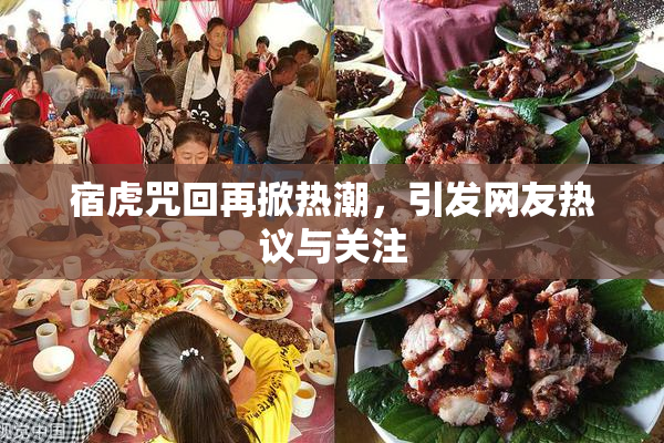 宿虎咒回再掀热潮，引发网友热议与关注