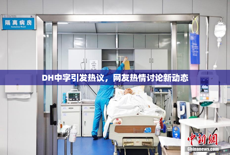 DH中字引发热议，网友热情讨论新动态