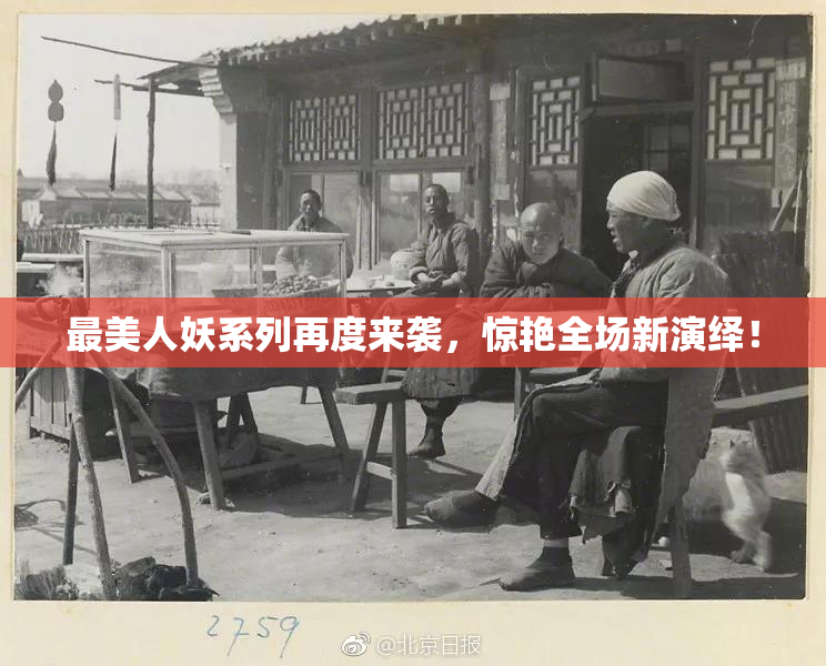 最美人妖系列再度来袭，惊艳全场新演绎！