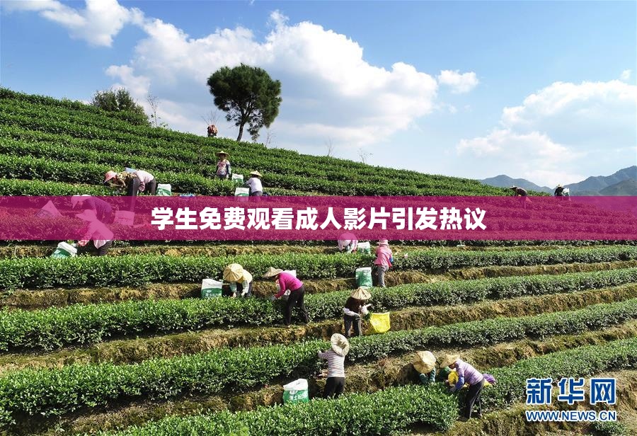 学生免费观看成人影片引发热议