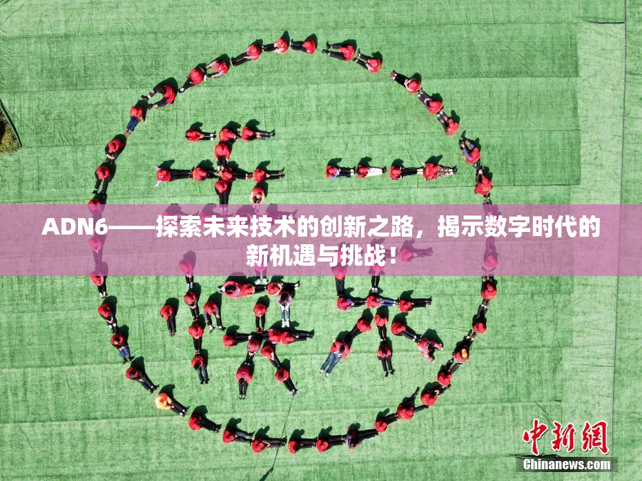 ADN6——探索未来技术的创新之路，揭示数字时代的新机遇与挑战！