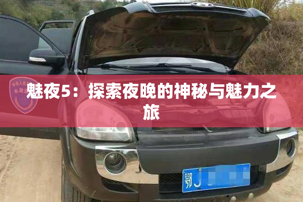 魅夜5：探索夜晚的神秘与魅力之旅