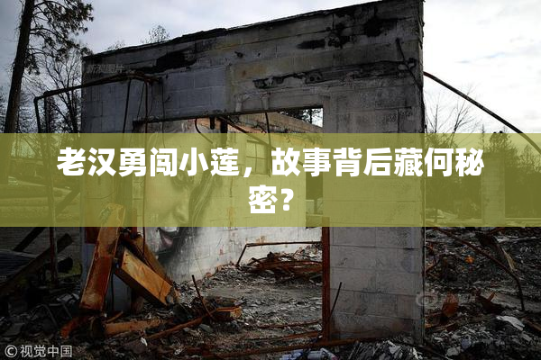 老汉勇闯小莲，故事背后藏何秘密？