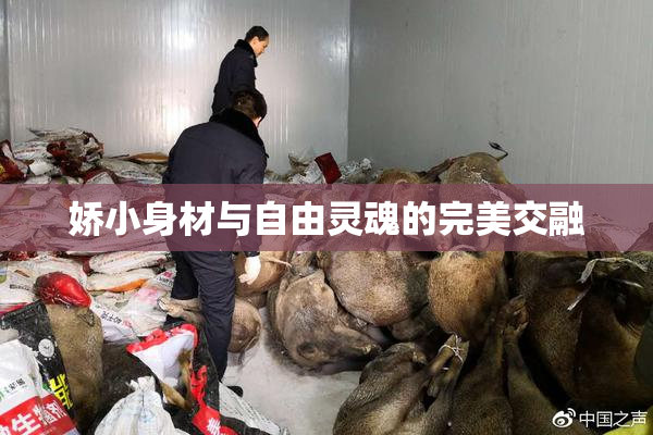 娇小身材与自由灵魂的完美交融
