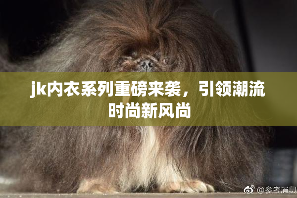 jk内衣系列重磅来袭，引领潮流时尚新风尚