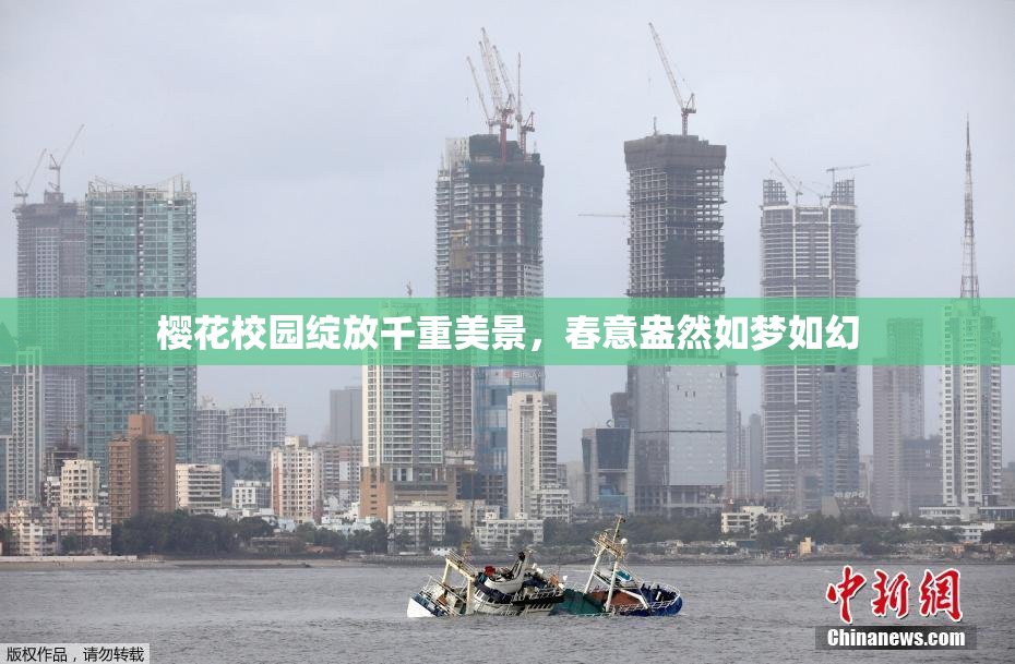 樱花校园绽放千重美景，春意盎然如梦如幻