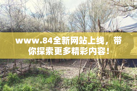 www.84全新网站上线，带你探索更多精彩内容！
