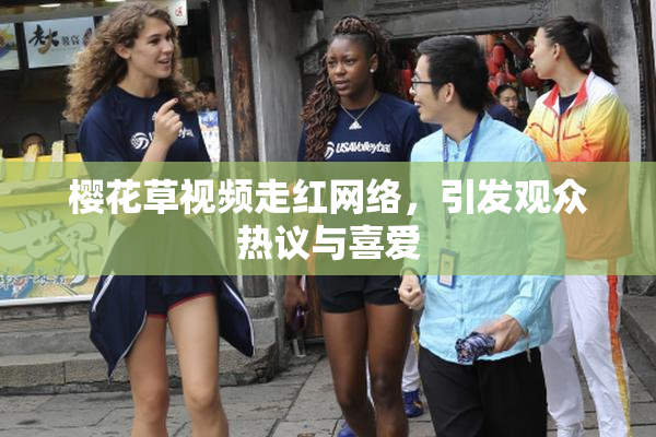 樱花草视频走红网络，引发观众热议与喜爱
