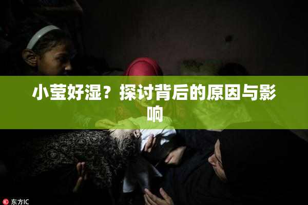 小莹好湿？探讨背后的原因与影响