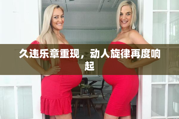 久违乐章重现，动人旋律再度响起