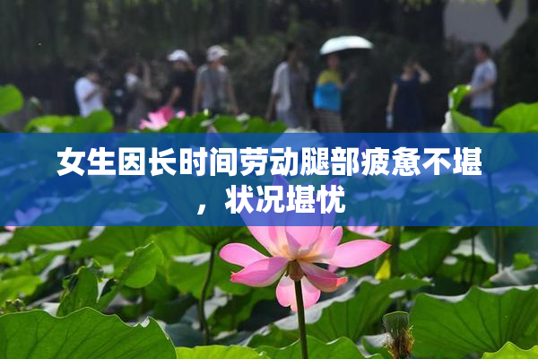 女生因长时间劳动腿部疲惫不堪，状况堪忧